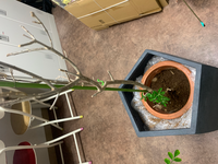 ほとりって何ですか どういう意味ですか その付近 近辺 あたり Yahoo 知恵袋