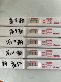 検査薬の画像有りです 高温期8日目からフライング検査をしてい Yahoo 知恵袋