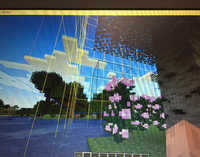 Minecraftでチャンクを表示したいのですがf3キー Gキーを Yahoo 知恵袋