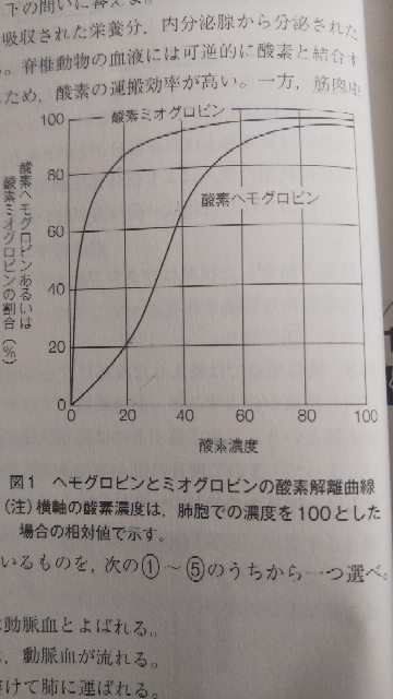 酸素解離曲線について質問です 回答に 全体の50 が酸素と結合する酸素 Yahoo 知恵袋