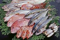 白身魚フライとよく聞きますが あなたは何の魚のフライが好きですか 私は Yahoo 知恵袋