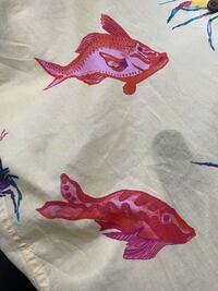 パタロハのシャツなのですがこの赤い魚2種類の名前わかる方いらっしゃ Yahoo 知恵袋