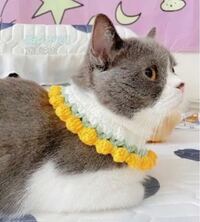 愛猫にこの首輪を作ってあげたいのですが何編みか分かる方いますか Yahoo 知恵袋