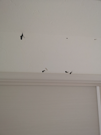 壁紙のシミの消し方を教えて下さい 部屋の壁紙に原因不明の茶色っぽいシミ Yahoo 知恵袋