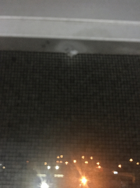 ヤドリギとキスの関係 映画を見てて不思議に思ったことがあるの Yahoo 知恵袋