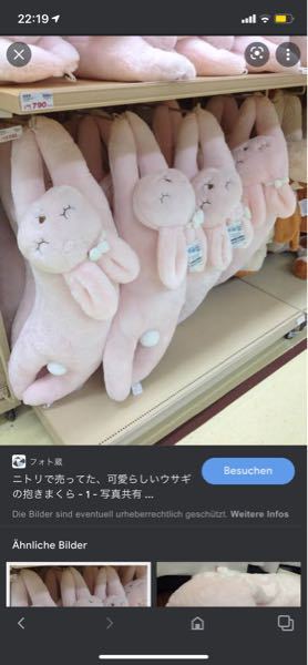 数年前にニトリで販売されたこちらのうさぎの抱き枕。現在は廃盤となり