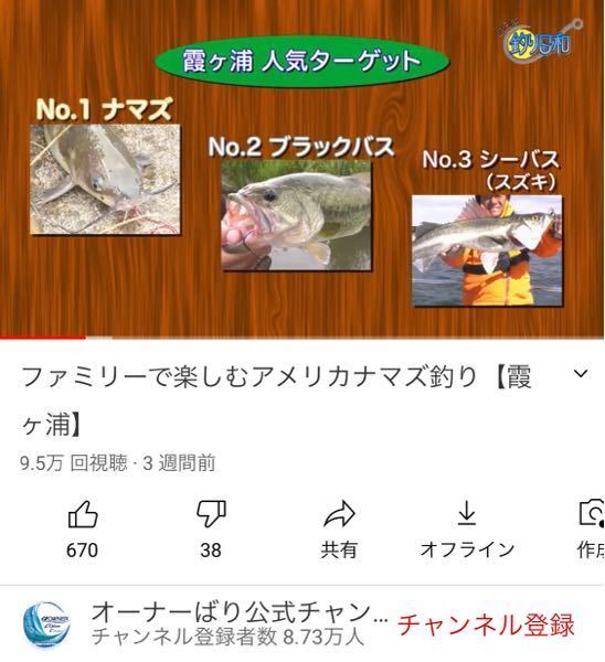 先日村田基さんが出ている動画にて霞ヶ浦で釣りをしている人の6割はナマズ釣りと Yahoo 知恵袋