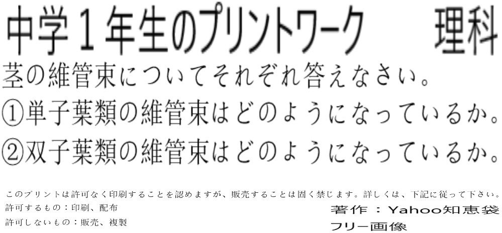 理科 植物です と の維管束について答えを教えて下さい お願いい Yahoo 知恵袋