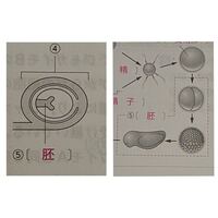 中学理科胚は受精卵になってたら細胞分裂を繰り返して自分でえさを捕れるようにな Yahoo 知恵袋