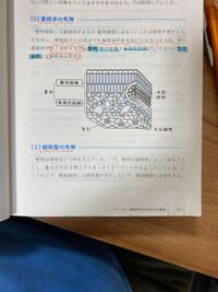 ここに書かれてあるのは 植物細胞と動物細胞の違いで 葉緑体の有無の Yahoo 知恵袋