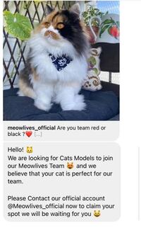 鬼滅の刃一通り見ましたが見落としか分からないところがいくつか Yahoo 知恵袋