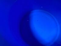 バケツに水を貯めておくと このように泡が立つのですが大丈夫でしょうか Yahoo 知恵袋