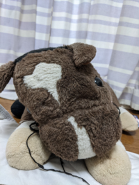 このぬいぐるみは私が小さいときから家にあるものです 使い倒してきた Yahoo 知恵袋