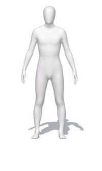 この写真の骨格を教えてください Yahoo 知恵袋