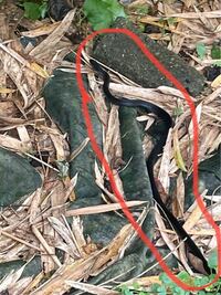 黒いこのヘビの名前は？ 九州住みです。昨日、畑で黒いヘビを見ました。

画像がわかりにくいのですがなんというかヘビか分かる方はお願いします。