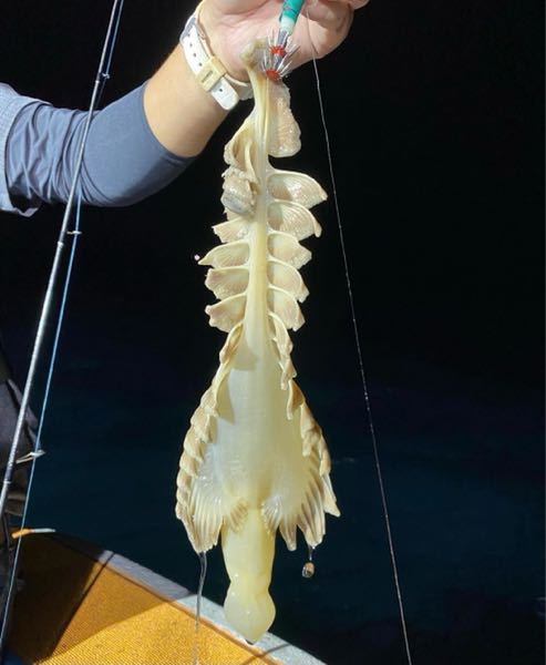 ワンピースのキャラ名連発質問すみません 名前の分からないキャラがいるので教えて Yahoo 知恵袋