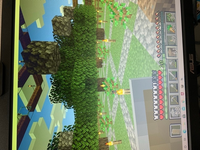 マインクラフト1 16 4 オークの植林場を作っていたのですが なかなか Yahoo 知恵袋