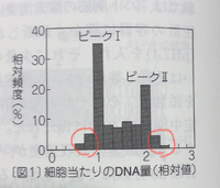 細胞1個あたりのDNA量が1より少なかったり、2より多かったりする(図の赤丸)のはどういう状況の細胞のことを指しているんですか？ 