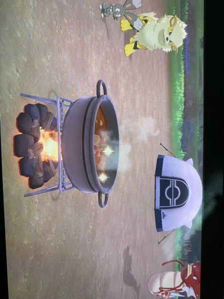 ポケモン剣盾についてです 友達とキャンプをして カレー作りをすると Yahoo 知恵袋