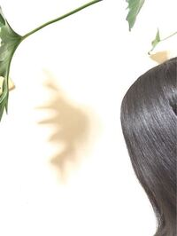 1年半前に縮毛矯正かけたんですが 冬やすみもう１回かけたいです 先 Yahoo 知恵袋