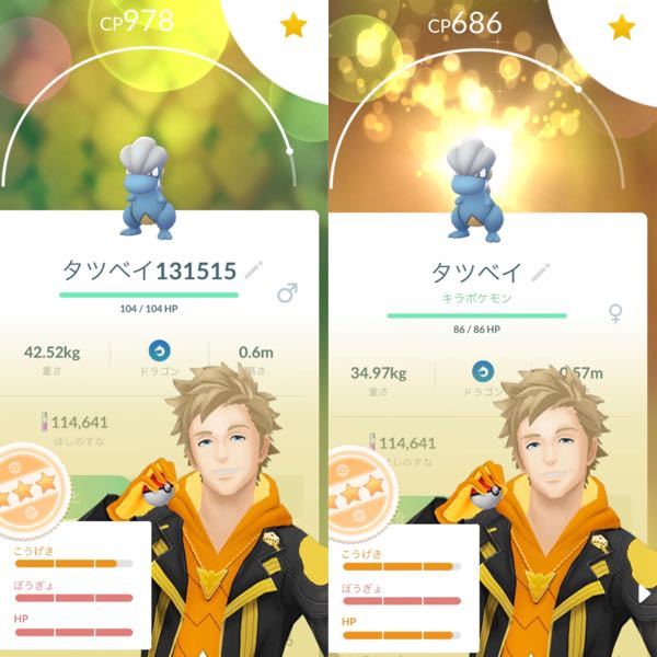 ポケモンgoで 写真のタツベイどっちを進化させた方がいいと思いますか 一応ま Yahoo 知恵袋