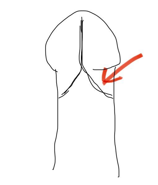 空腹時にアセチルシステインを摂取する必要があります