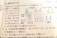 中2理科唾液のはたらきの実験について 写真の を分かりやすく説明してれる方い Yahoo 知恵袋