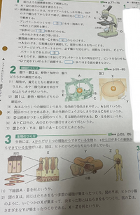 中2理科のプリントの問題です なるべく早めに教えていただけるとあり Yahoo 知恵袋