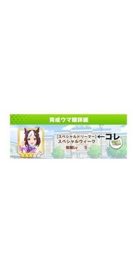 ウマ娘のキャラの名前の上にあるアレ なんて呼べばいいんでしょう Yahoo 知恵袋