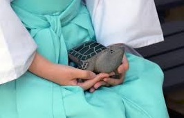 絢香で おすすめの失恋のソングを教えて下さい 大好きだった人に Yahoo 知恵袋