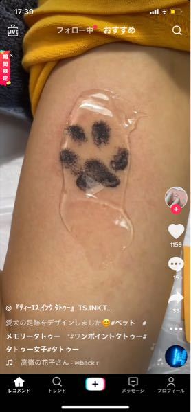 このような自分の飼い猫の肉球のタトゥーを入れたいと思っているんです Yahoo 知恵袋