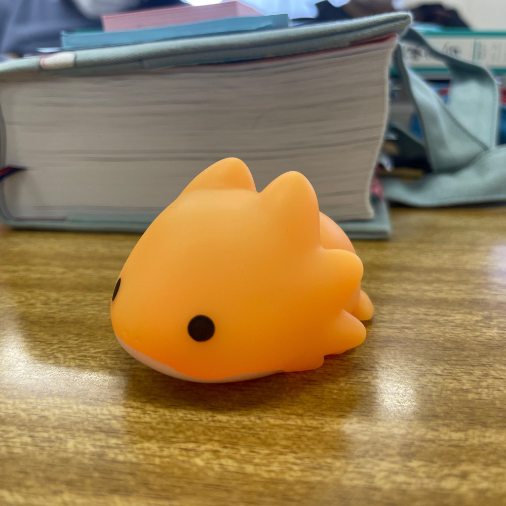 中学一年生です 明日のテストで脊椎動物は今後どのように進化するか考えなさいとい Yahoo 知恵袋