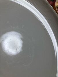 花をいける の いける は 生ける と 活ける のどちらが Yahoo 知恵袋