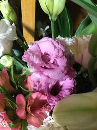 アレンジフラワーを頂きました その中の一つなんですが この花 Yahoo 知恵袋