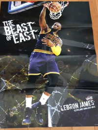 この時のレブロンが履いているバッシュを探しているのですが どうにも見つかりま Yahoo 知恵袋