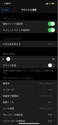 この画像についてです 音を最大にして特にいじったりしてないの Yahoo 知恵袋