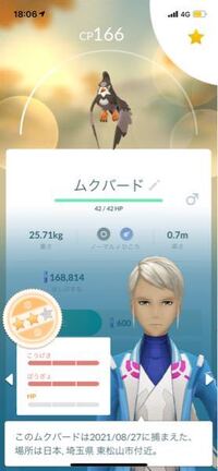 ポケモン青vc 冒険レポート14枚目 鎮魂 ハイカラうらしま日報