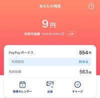 Paypay ボーナス 支払い に 使う