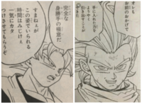 漫画版 ドラゴンボール超 完全覚醒したグラノラと 精度が落ちるまでの間 Yahoo 知恵袋