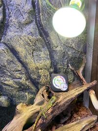 キョンシーの額に貼るお札の文字の意味を教えて下さい 勅命陏身保命 Yahoo 知恵袋