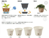 このタイプの植木鉢ってどうやって水あげるんですか？ - 下から入れて 