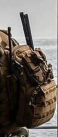 このプレキャリの後ろにつけるバックポーチの名前について教えてください。 本職の方々がプレキャリの後ろにつけている実物などを探しています。よろしくお願い致します。 調べてみたのですがあまりヒットせず質問しました。
写真は海兵隊だと思います。