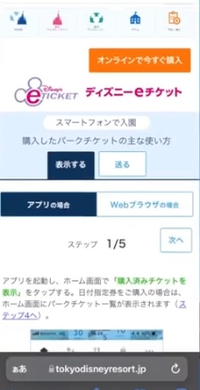 ディズニーチケットを友人に譲る際プリントアウトして渡せばいいと Yahoo 知恵袋