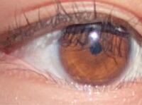 至急これは黒目と茶目どっち寄りですか 普通のコンタクトはしてます Yahoo 知恵袋