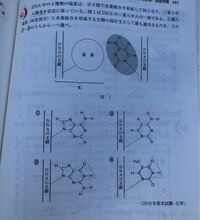 国立医学部受験なんですが 化学のアデニン グアニン シトシン チミンの構造は暗 Yahoo 知恵袋