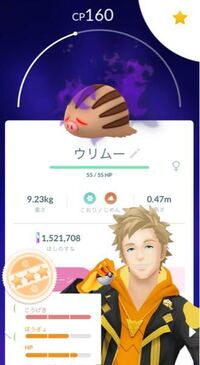 ポケモンgoについてです 今年の3月から始めた新規勢なのです Yahoo 知恵袋