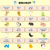 動物の鳴き声は例えば犬は日本語では ワンワン なのに対し英語では Yahoo 知恵袋