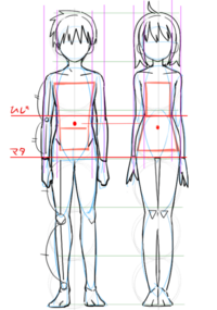 絵の立ちポーズで分からない事があります 踵を合わせた状態で立つと普 Yahoo 知恵袋