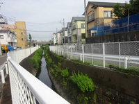 このような準用河川沿いに一戸建てで住まわれている方に質問です 氾濫 Yahoo 知恵袋