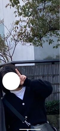 上半身でこれって太って見えますか ちなみに服はニットです 私には普通 Yahoo 知恵袋